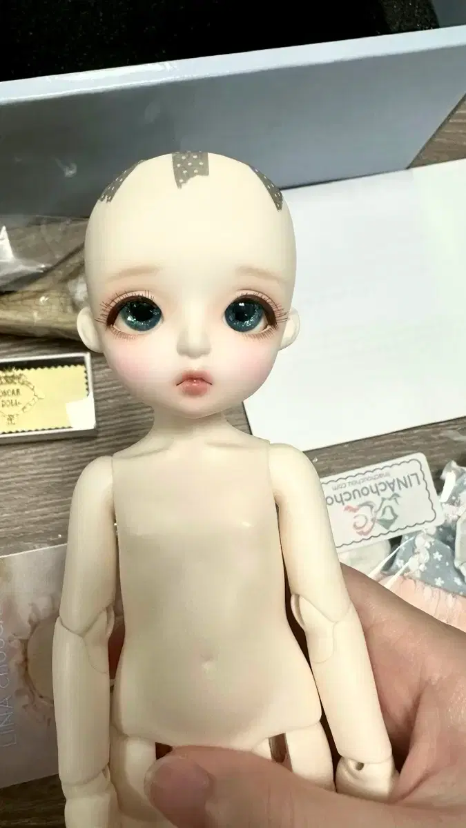 thumbnail-1